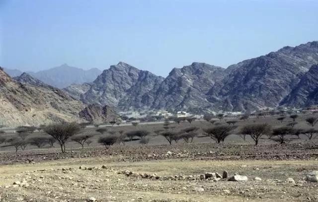 迪拜和阿布扎比是同一个国家吗,迪拜和阿联酋的关系