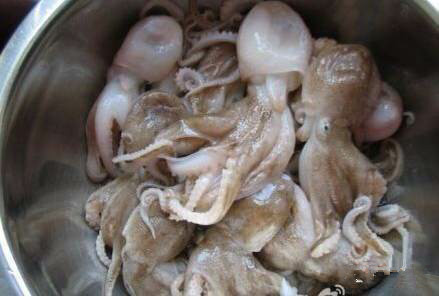 那些不认识的海鲜小干货,超级干货2022