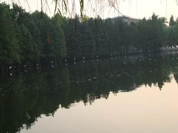 中南民族大学值得学吗,中南民族大学值得读吗