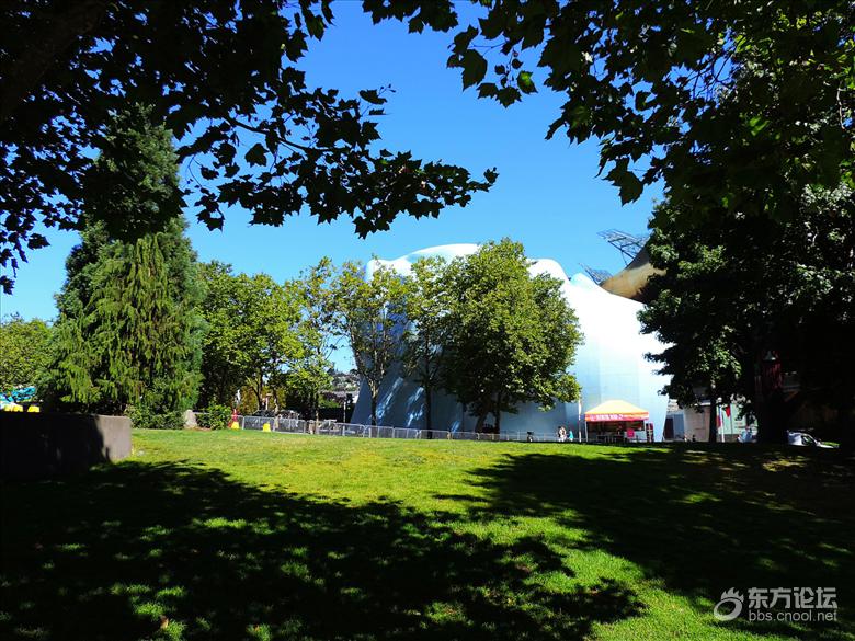 西雅图油价,西雅图油价多少钱