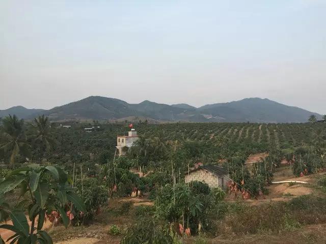 水果微商可以做什么生意,微商水果的利润有多少