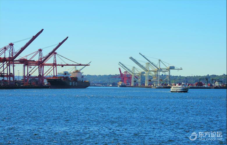 西雅图油价,西雅图油价多少钱