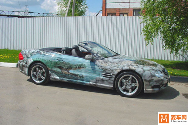 炫酷车膜,外国汽车膜