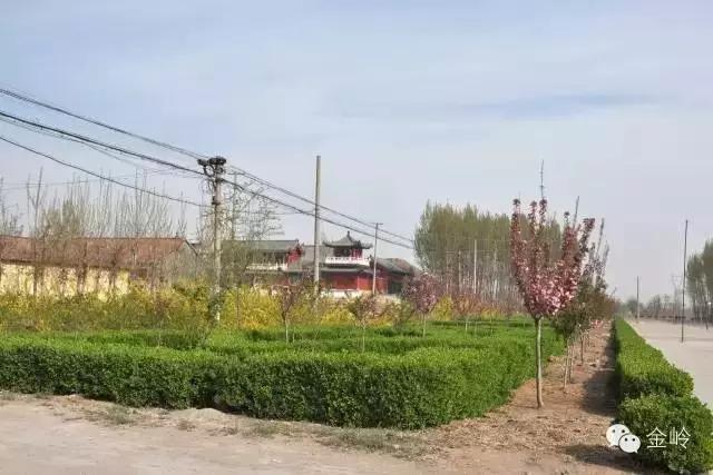临淄:特色小镇的春天——金岭敬仲朱台齐陵