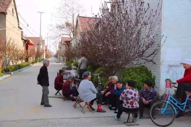 临淄:特色小镇的春天——金岭敬仲朱台齐陵