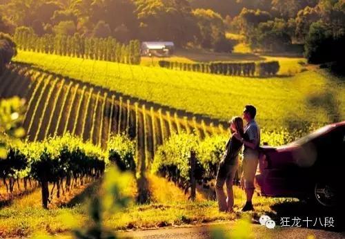 著名雷司令,雷司令世界排名