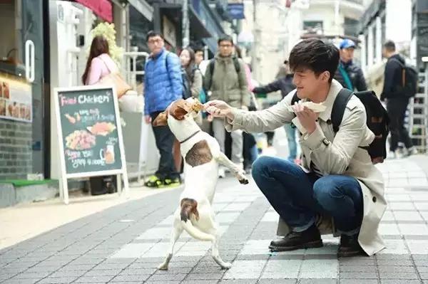 海淘如何免税,海淘免税条件