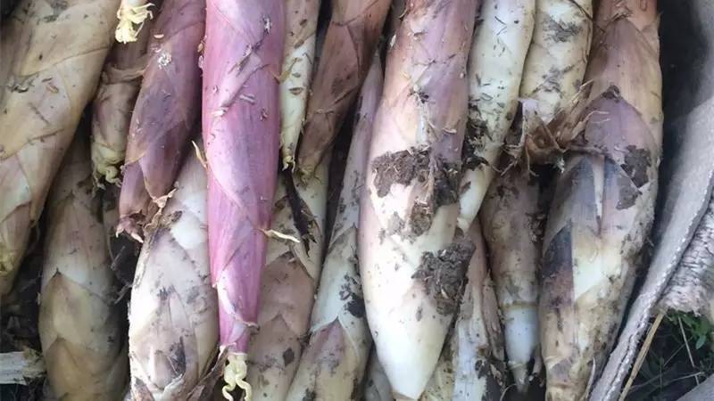 杭州最值得去吃的地方,杭州旅游美食推荐地点