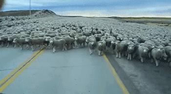 在哈尔滨必须接受的八大现实,揭秘哈尔滨套路