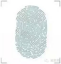 苏州好吃龙虾店推荐,苏州园区好吃的龙虾推荐