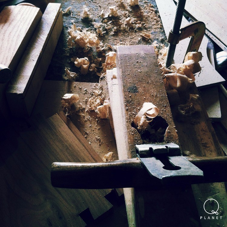 日子好货|住在“Qplanet”的小宠物