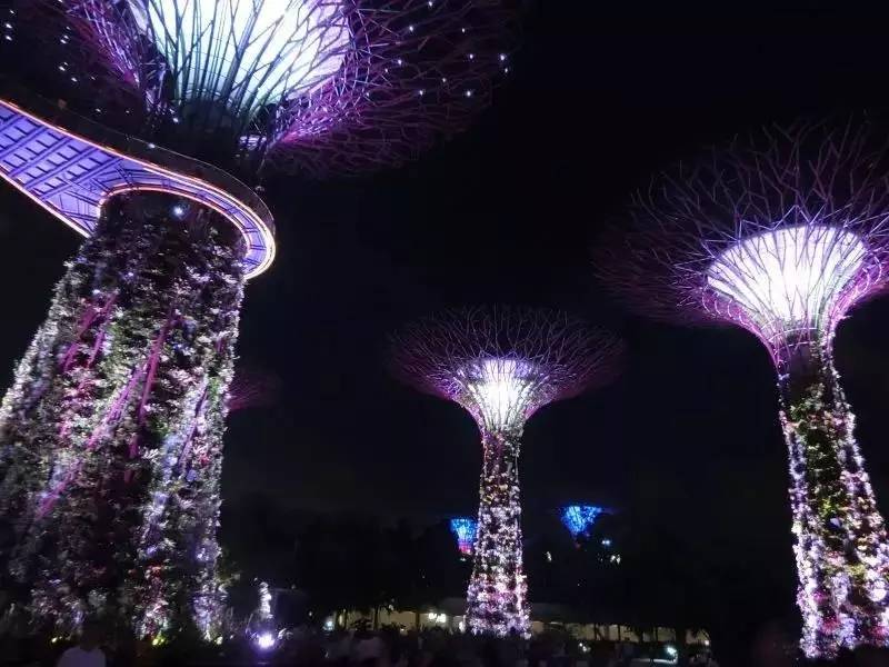 沙龙感恩主题,沙龙活动感悟心得