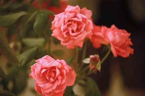 photoshop教程100集,photoshop教程一寸照片