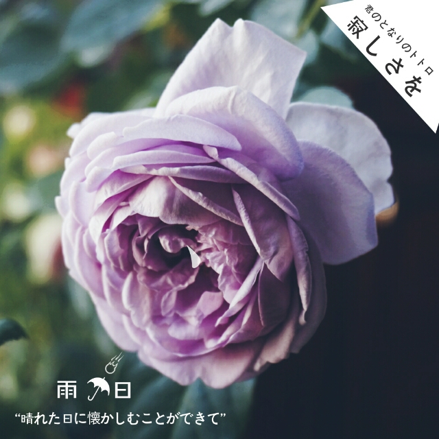 怎么在手机照片上加上时间日期,手机照片上怎样加日期和地址