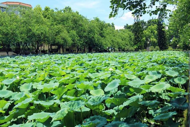 今天梅州会下暴雨吗,关注南方强降雨天气