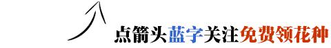 农村常见的100种植物,100种常见草本植物
