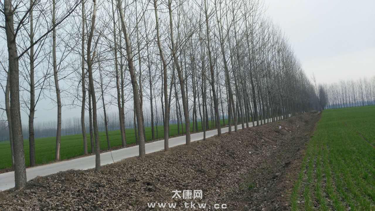 五里口乡桂李行政村（桂李、刘黄、卢堂）村名由来、姓氏族谱、民间传说