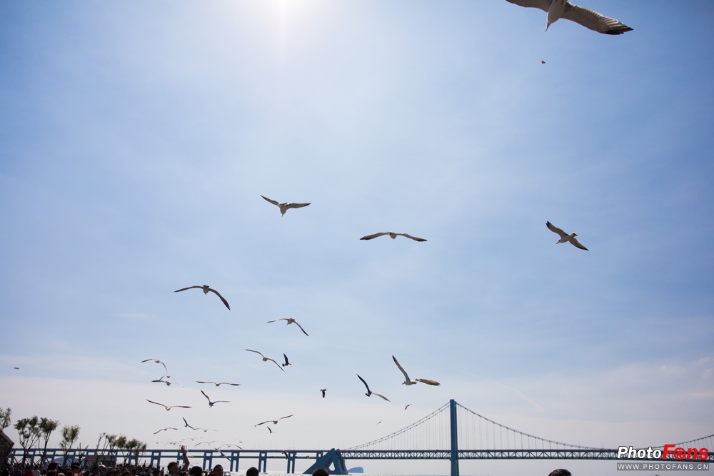 适马18-50mmf2.8缺点和不足,适马24-70f2.8和适马三剑客怎么选