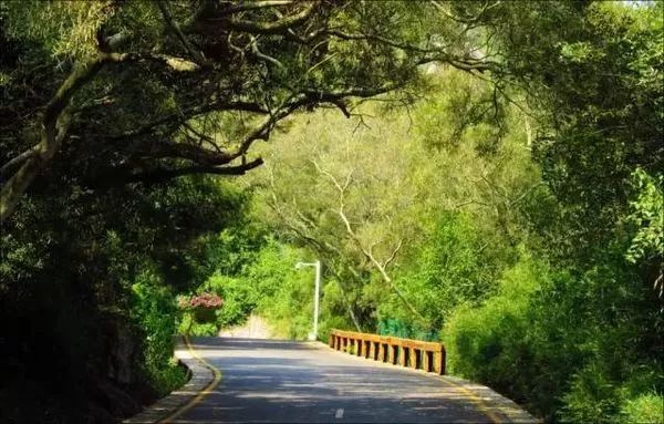 玩转城中山，这条超赞旅行线路拿走不谢！