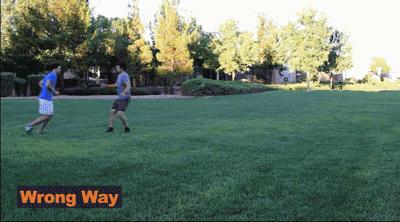 维维足球战术教程,维维体能训练方法图解