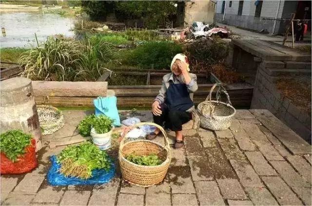 城南旧事读后感,城南旧事中细思极恐的细节