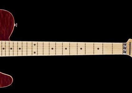 吉他乌木属于什么木种,吉他有木纹就是真木头吗