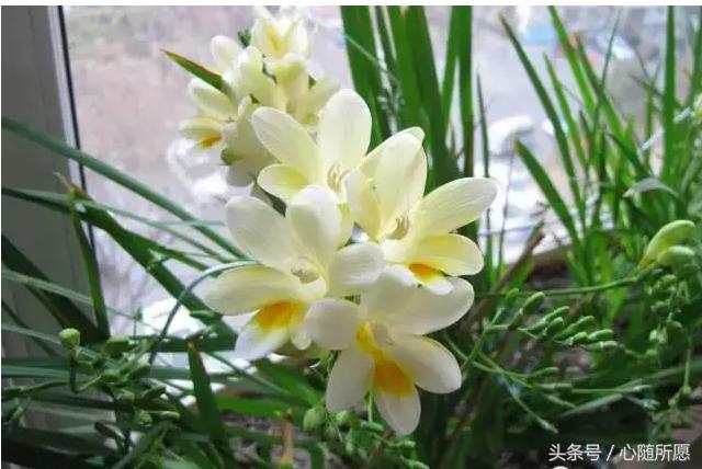 内服外用维生素e和c能祛斑吗,美容圣品维生素e的外用方法