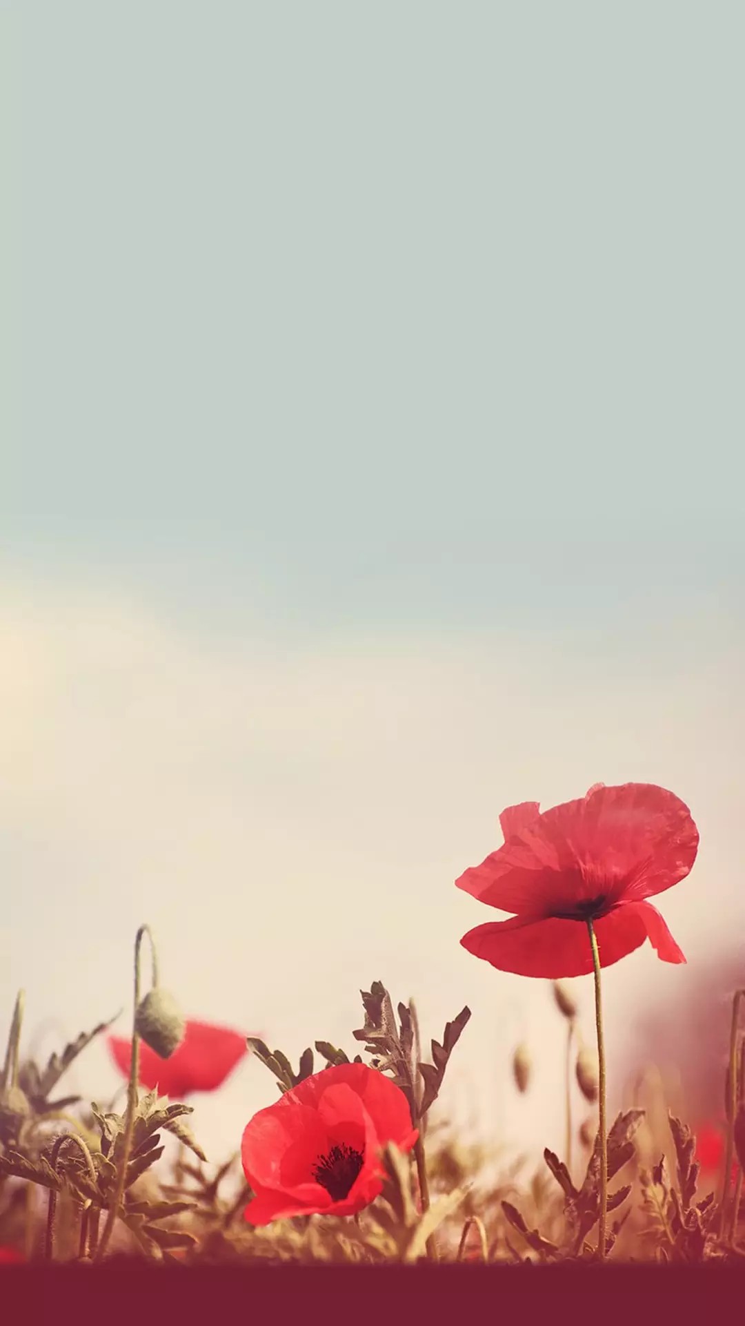 犀利超拽霸气签名句子,一句话签名简单干净