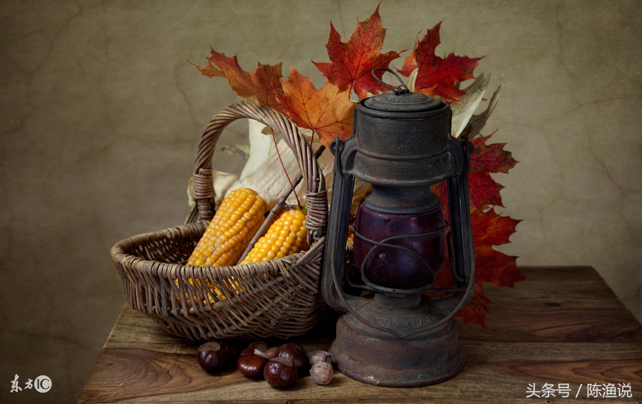 小学没毕业的农村父亲做会计10年,却始终有一笔烂帐对不上。