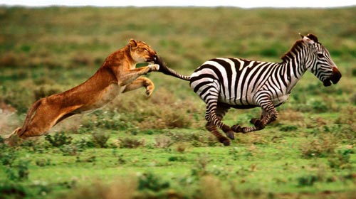 保胎保得好的医生,保胎在医院打针对胎儿有影响吗