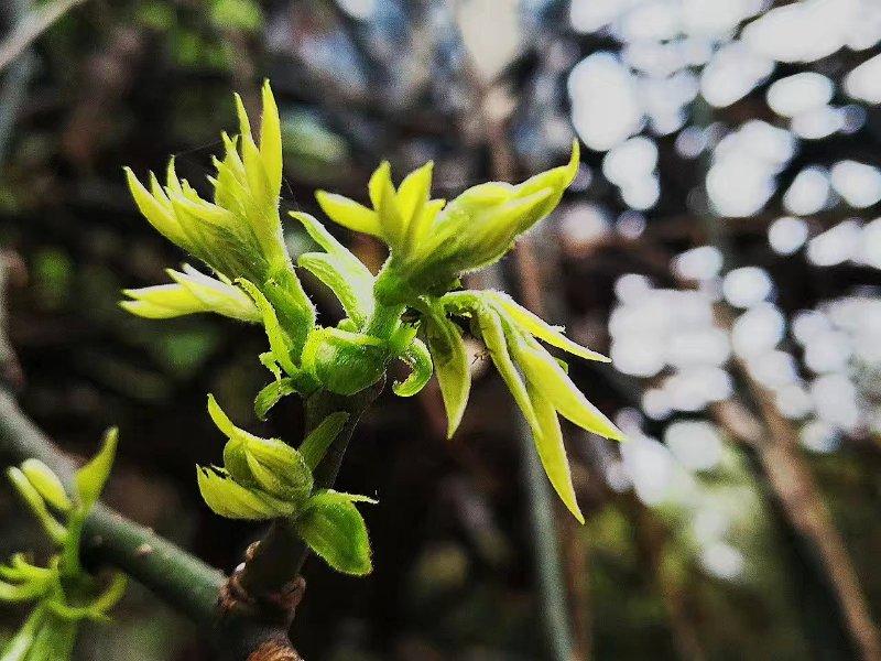 手拍世界投稿,手拍世界手机摄影平台