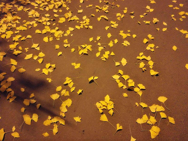 手拍世界作品集402期,2022年世界手机摄影大赛征稿