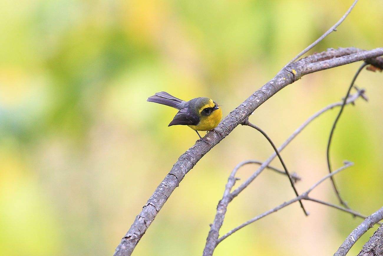 摄影单反镜头的使用方法,单反相机摄像用什么镜头好