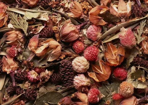 怎么把鲜花做成标本不会枯萎,透明树脂胶怎么制作鲜花标本