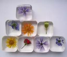 怎么把鲜花做成标本不会枯萎,透明树脂胶怎么制作鲜花标本