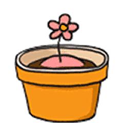 火到爆炸的产品,安瓶精华和普通精华的区别