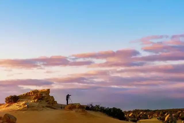 腾龙24-70g2与原厂比差距大吗,腾龙24-70g2拆解