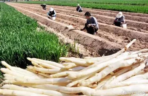 灞辫タ姘告祹鐖辨儏鍦ｅ湴,灞辫タ鐪佹案娴庡競鐖辨儏鍦ｅ湴