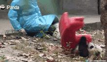 网友家的猫坐键盘上，偶然竟打出这几个字，可以说，细思极恐了！