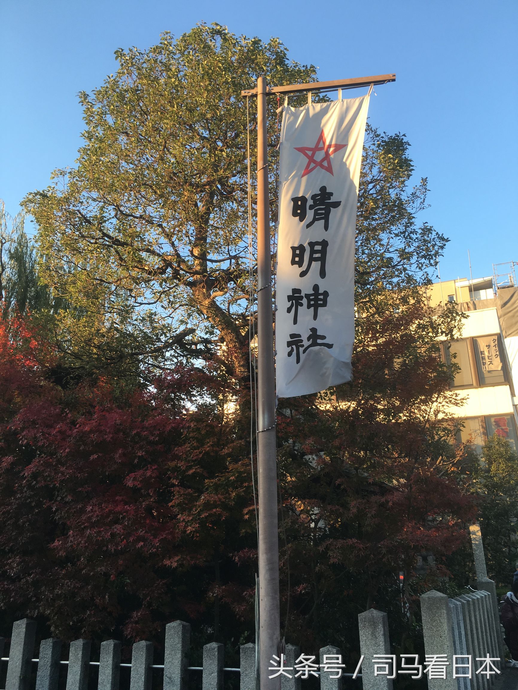 阴阳师衍生作安倍晴明的现代生活,安倍晴明阴阳师历史