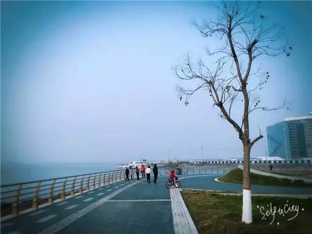 郑州公园推荐免费十一月,郑州免费公园景点推荐