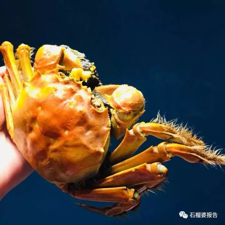 一天能赚十多万的工作,有什么兼职一天能赚30到50块