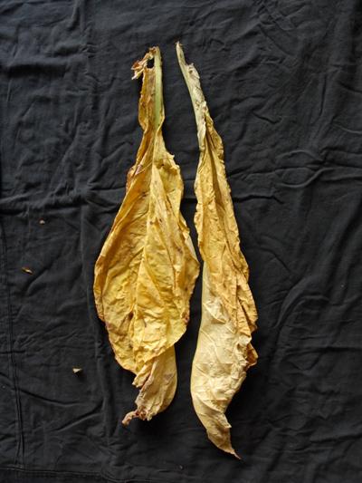 头发秃顶刘海怎么剪最好看,刘海三角处秃顶了怎么补救