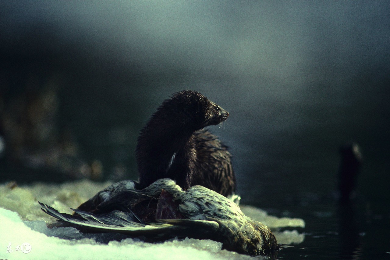 有些事无法解释只能接受,有些事根本就无法原谅