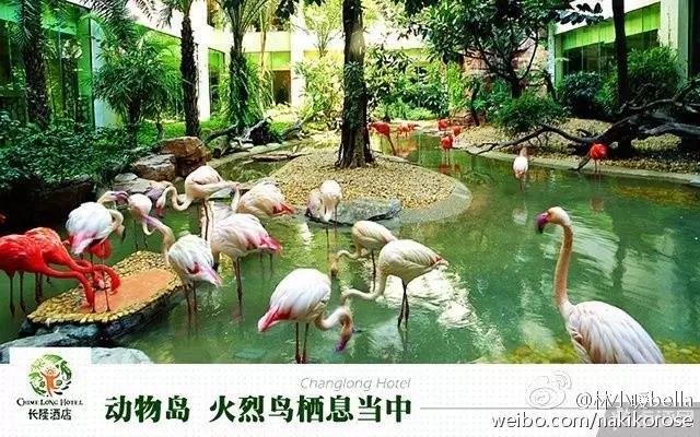 广州长隆亲子游最省钱攻略,广州长隆亲子游最全游玩攻略