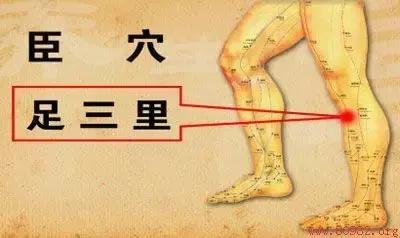 脾虚艾灸好还是中药调理好,严重脾虚的艾灸方法