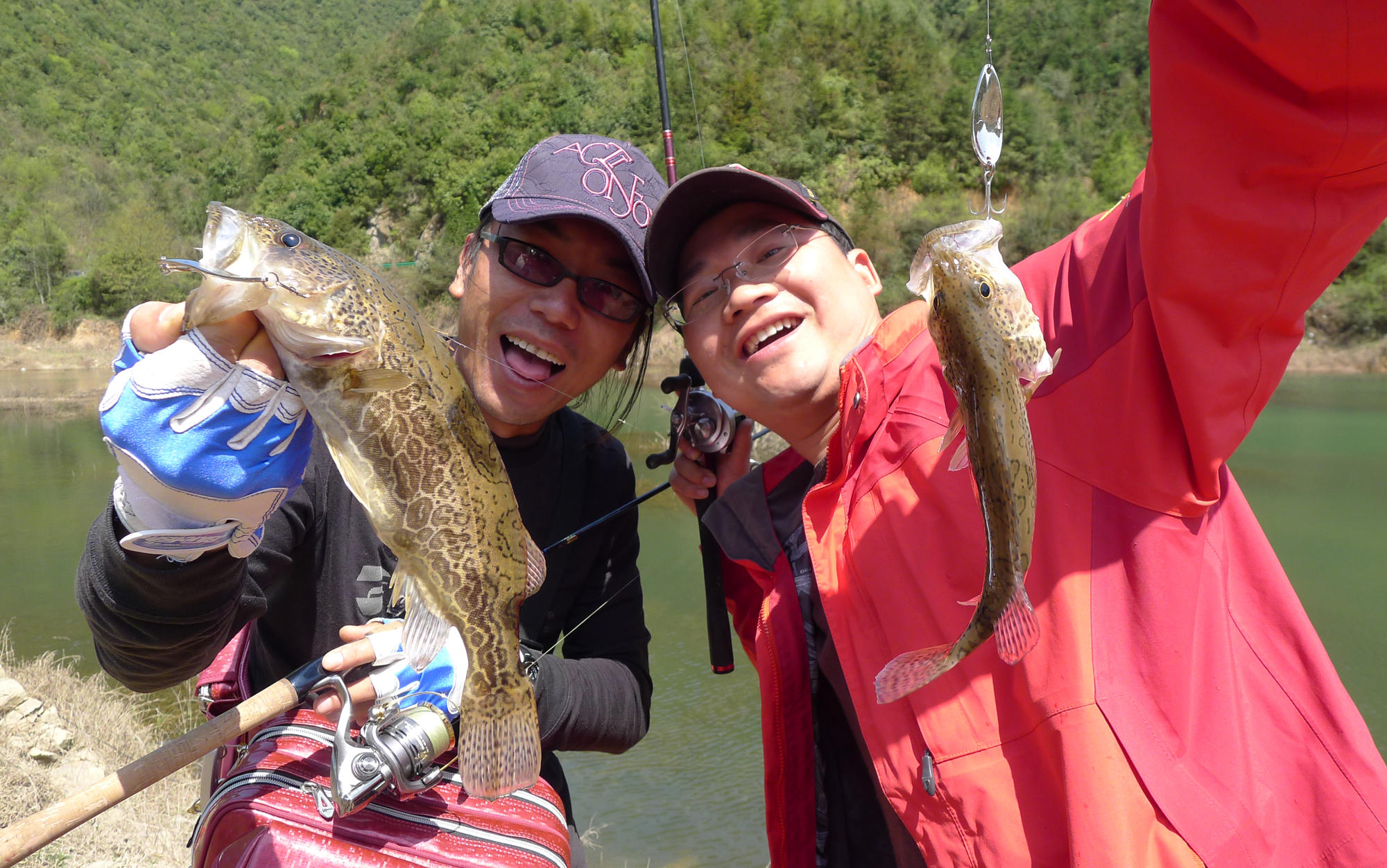 那件疯狂的小事叫爱情粤语,那件疯狂的小事叫爱情