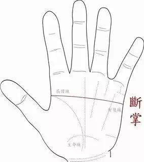 手相水型掌的命,手掌解析运势图左手断掌