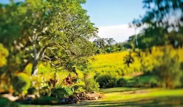 好物推荐祛痘神器,痘肌最好用的神器
