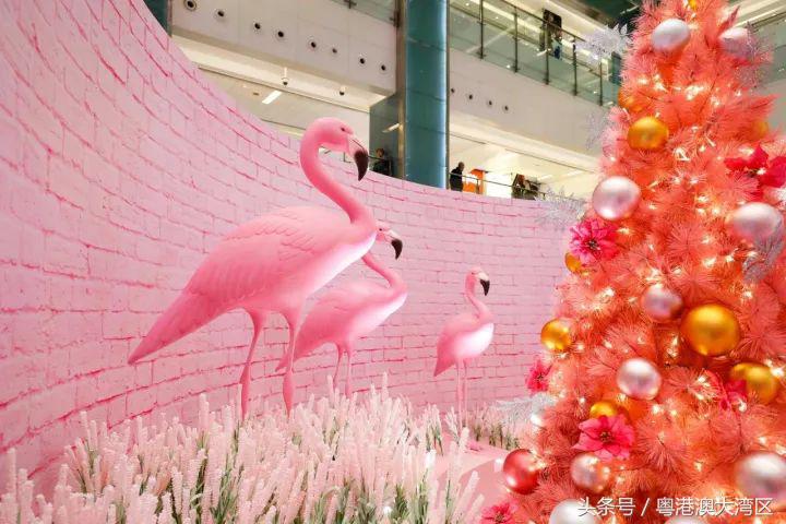 香港圣诞夜旅游攻略,香港圣诞攻略